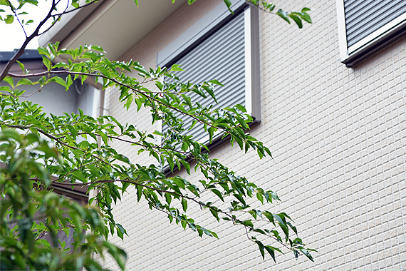 和歌山市にあるモデルハウスのエクステリア・庭・外構を緑化